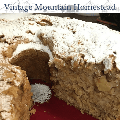 Mamaw's Old Fashioned Fresh Apple Cake - Southern Discourse